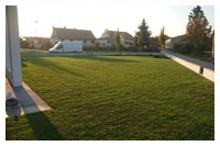 Garten & Landschaft - Fertigrasen