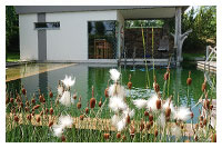 Schwimmteich - Teichbau Modern